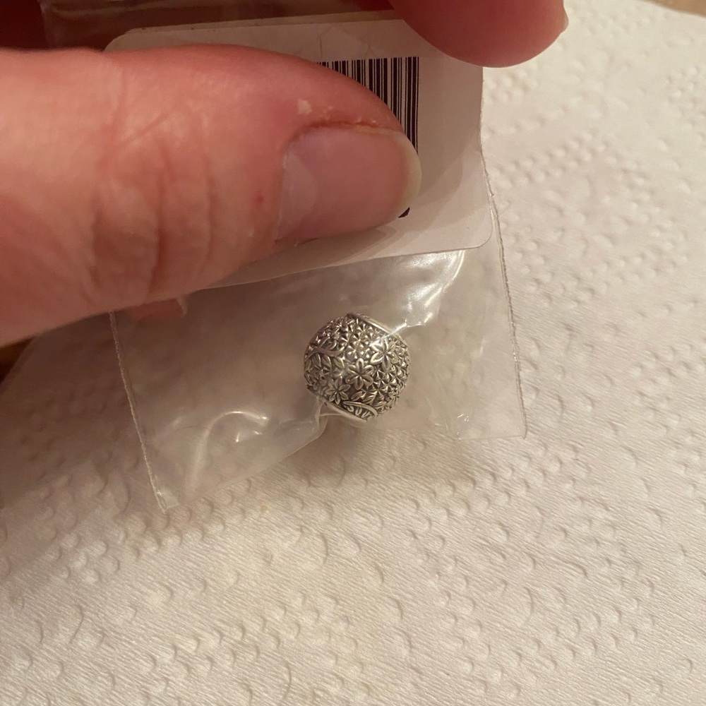 Intricate Silver Bead